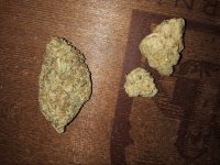 Buds; KushMints (Left) and Exotic (2Buds Right).jpg