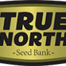 True North SB