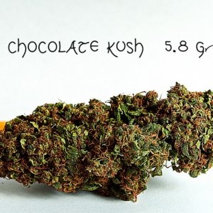 Chocolate Kush Nug