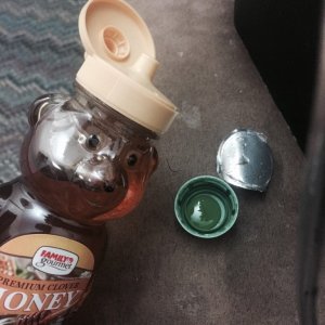 Honey clone