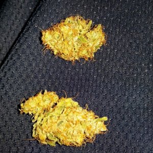 gsc and gscinator