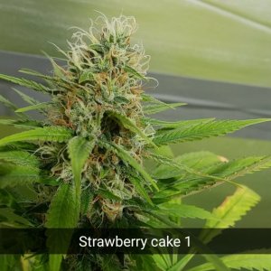strawberry_cake_1