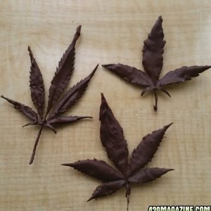 chocolate_dipped_cannabis_leaves