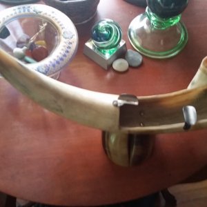 Horn and hooves ashtray