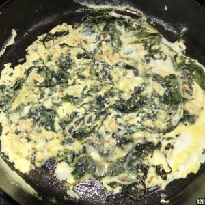 Photo 8 - Canna Omelette