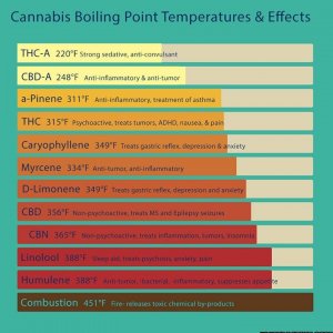 Cannabis Boiling Point Temperatures & Effects Infographic