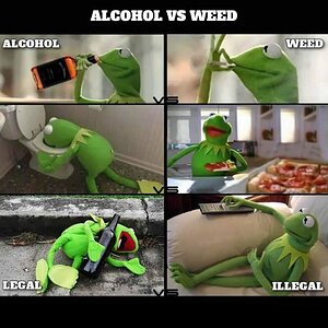 kermit-alcohol-vs-weed.jpg