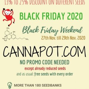 BlackFriday2020-Flyer_Hanfsamen-Cannabisseeds.jpg