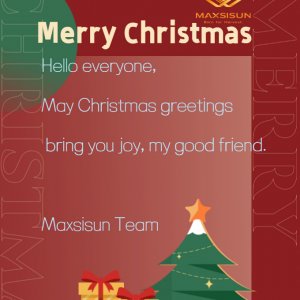 Maxsisun- Christmas Card.jpg