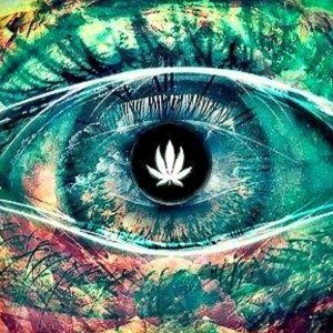 0_When-We-Smoke-Cannabis...-3.jpg
