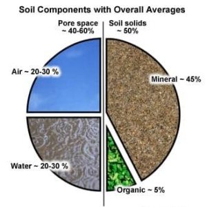 soil-components.jpg