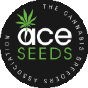 ace-seeds.png