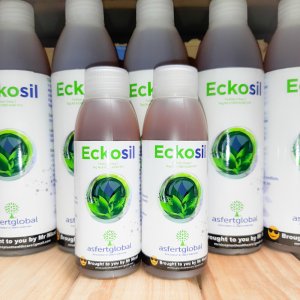 Eckosil-Silicon-Supplement.jpg