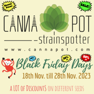 BlackFriday_2023_1080x1080_CannapotSeeds.png