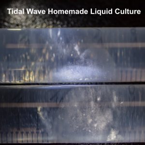 Tidal Wave Homemade LC.jpg