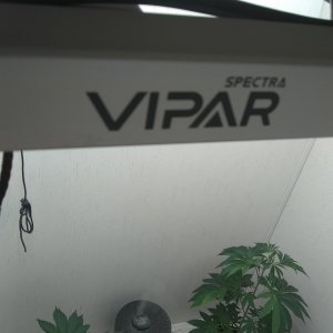 ViparSpectra KS3000