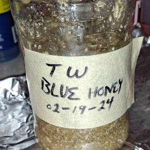 Blue Honey 02-19j.jpg