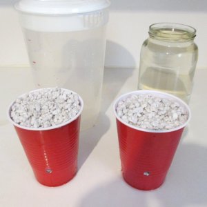 Seedsman PGC prepped cups.JPG
