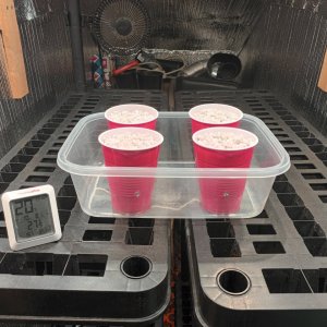 Seedsman PGC hempy cups.jpg