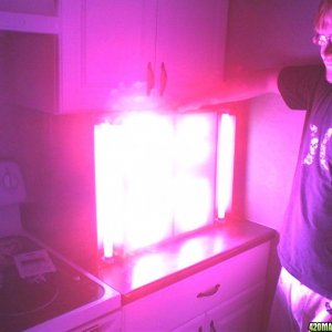 california lightworks led test grow