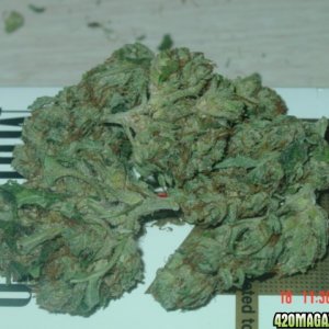 deahead/aka.superskunk picts