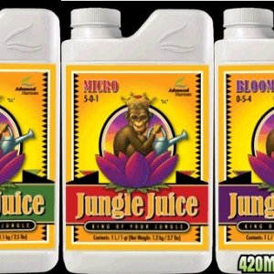 Jungle-Juice-Grow-Micro-Bloom_031