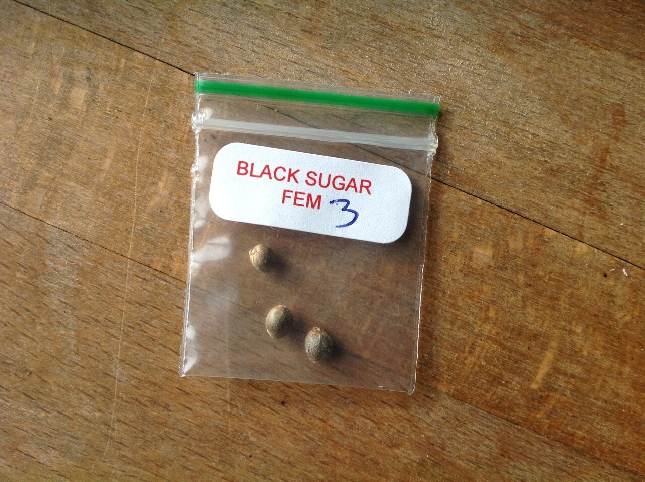 Black Sugar seeds