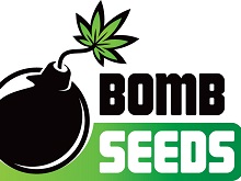 bomb seeds logo