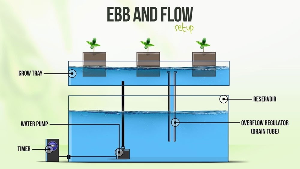 Ebb&Flow Setup.jpeg