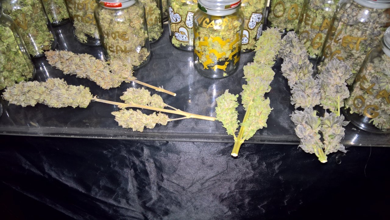 Few of the top Colas