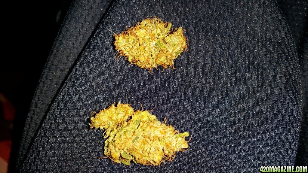 gsc and gscinator