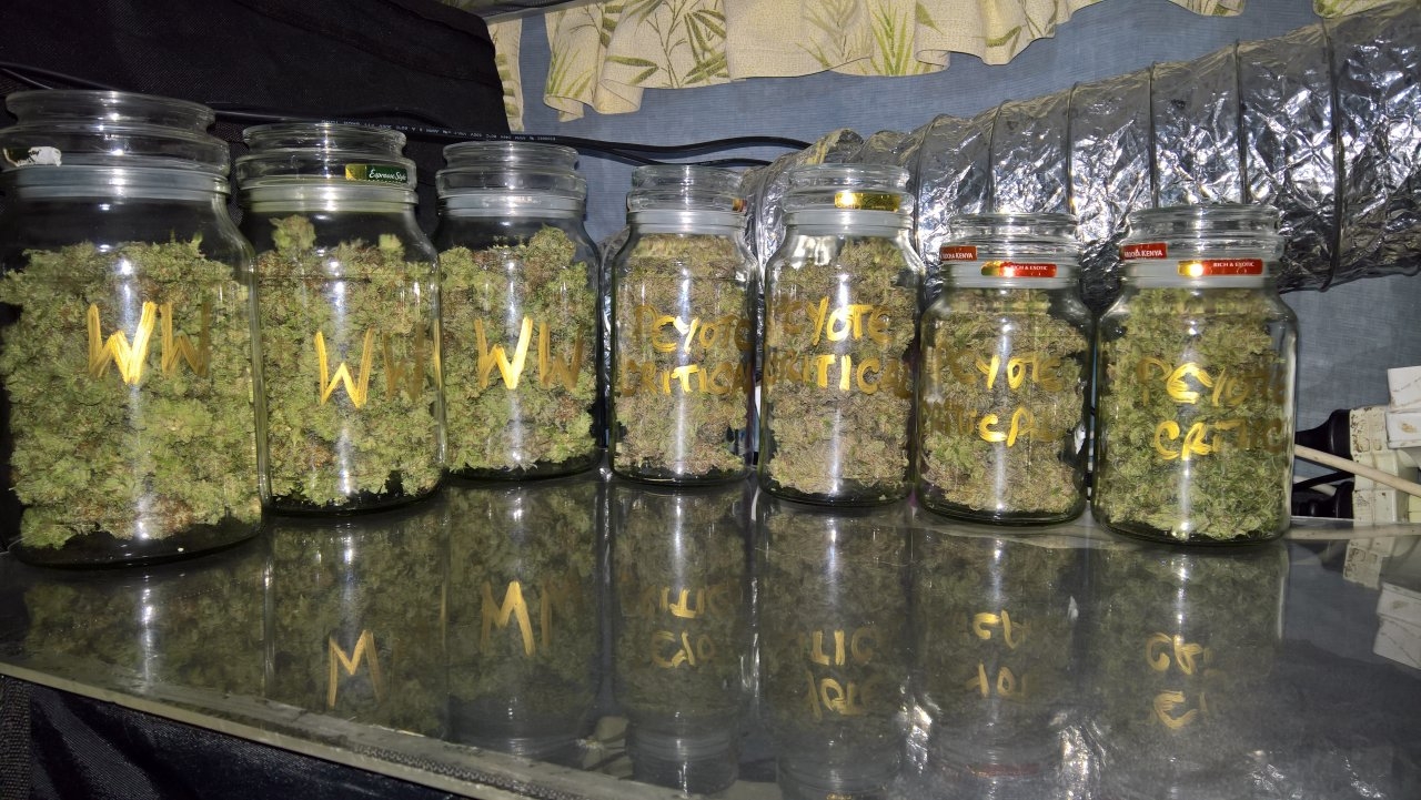 Harvest jars, cleaned and filled.