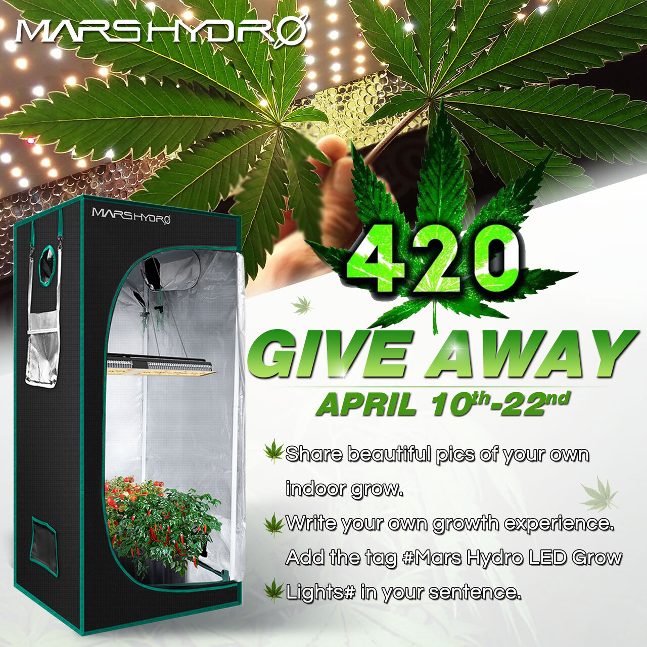 Mars Hydro 420 Giveaway