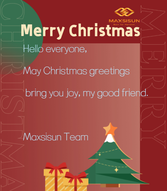 Maxsisun- Christmas Card.jpg