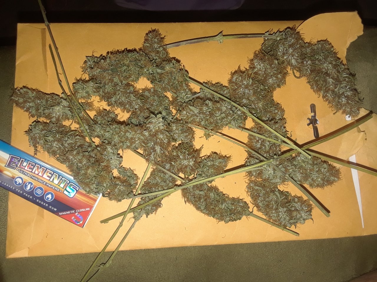 Piney's yield after drying