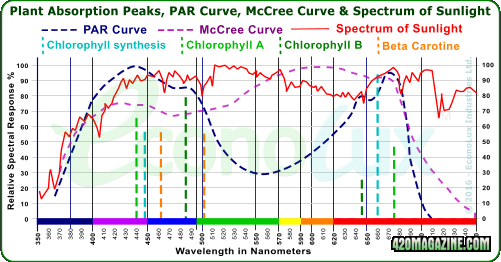 Plant Absorption Peaks PAR & McCree curves Vs Sunlight.png