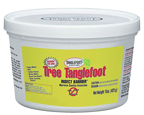 Tanglefoot for Aphids.jpeg