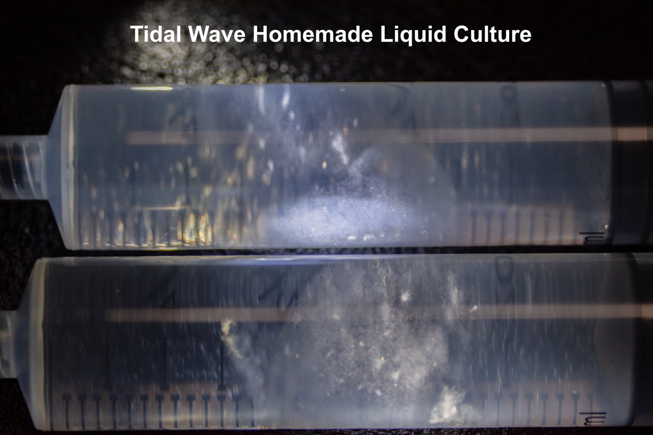 Tidal Wave Homemade LC.jpg