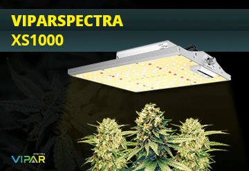 ViparSpectra-XS1000.gif