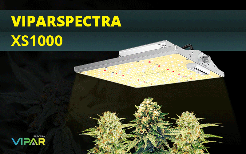 ViparSpectra-XS1000.gif