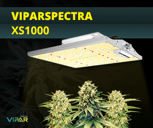 ViparSpectra-XS1000