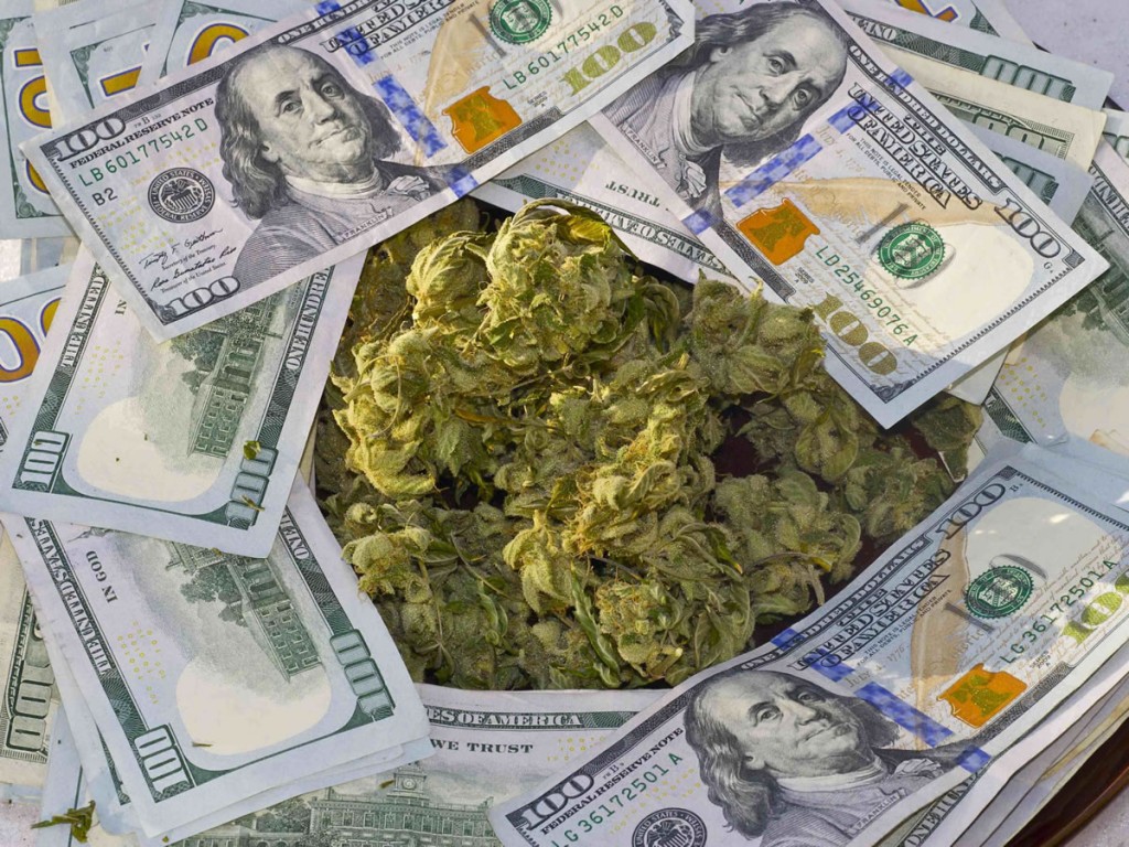 how to make money growing weed in colorado