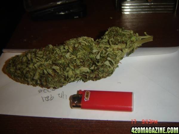 What does 1 gram of weed look like?