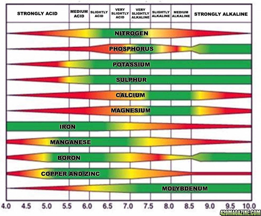 Ph Nutrient Absorption Chart