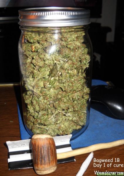 grams of weed. 50+grams+of+weed