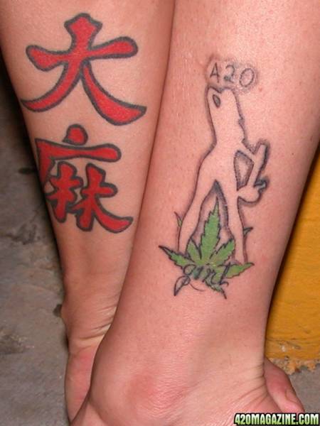 Griffin tattoo designs may differ in size and color, such tattoos look