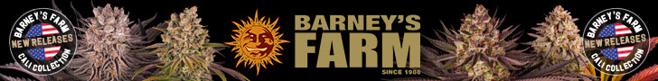 Barney's Farm