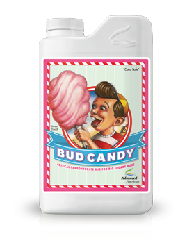 0_Bud-Candy-269x350.png