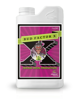 0_Bud-Factor-X-269x350.png