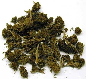 0_example-cannabis-brick-weed-sm.jpg